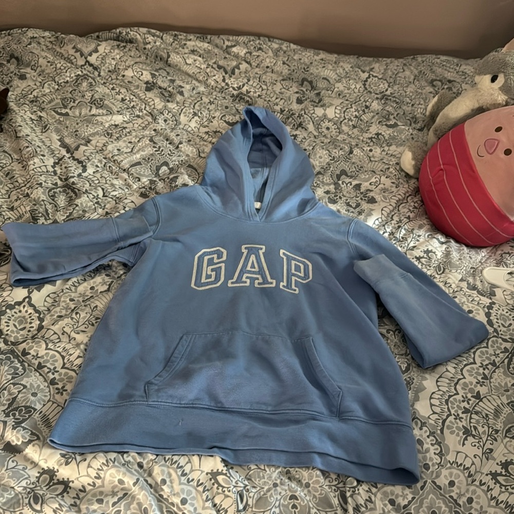 Baby blue gap hoodie